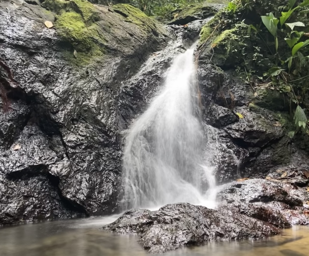 Nuqui Colombia-naturaleza, mar La Martina Ecolodge